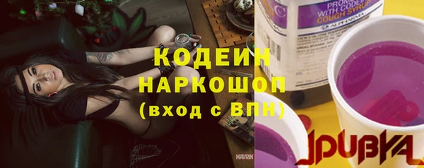 МДПВ Бородино