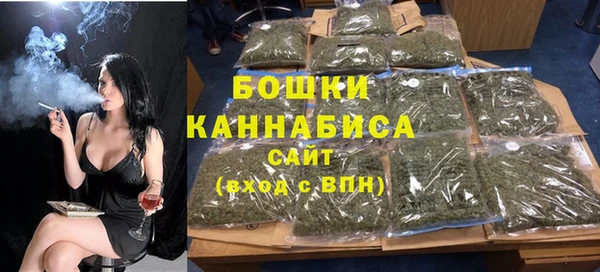 МДПВ Бородино