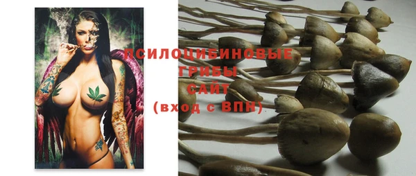 МДПВ Бородино