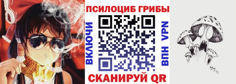 Галлюциногенные грибы Psilocybine cubensis  Купить  Невьянск 